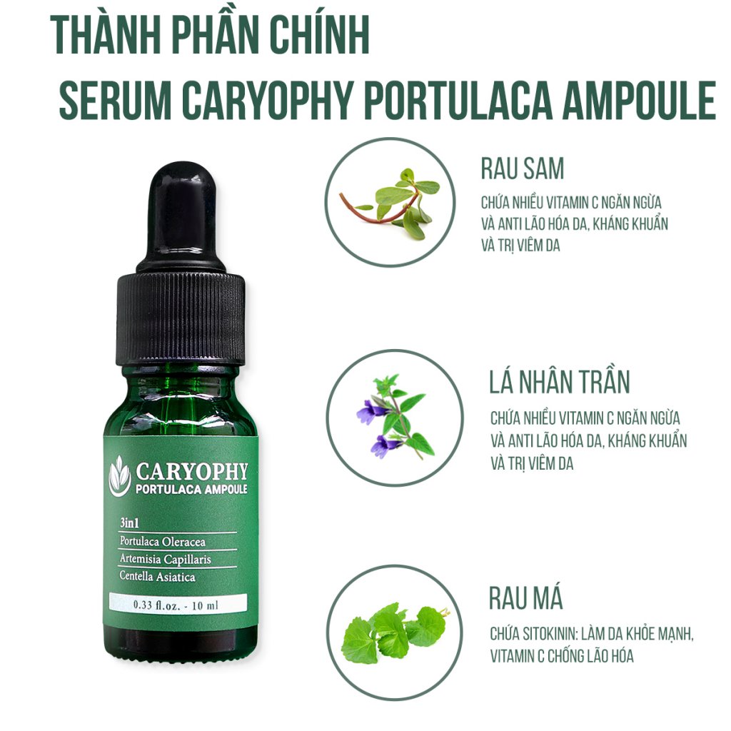 Serum Ngừa Mụn Caryophy Portulaca Ampoule