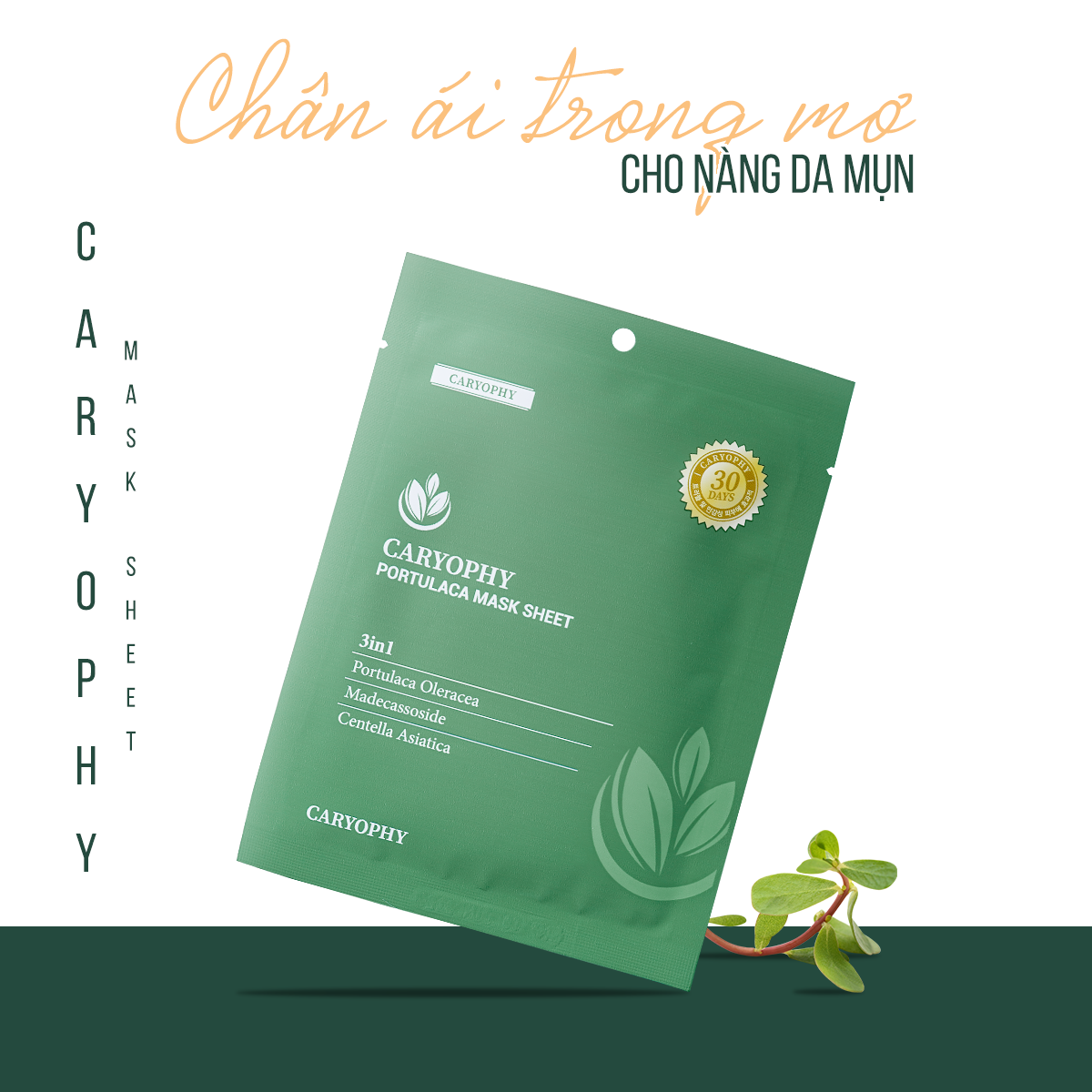 Mặt Nạ Giảm Mụn Caryophy Portulaca Mask Sheet 3in1 22g