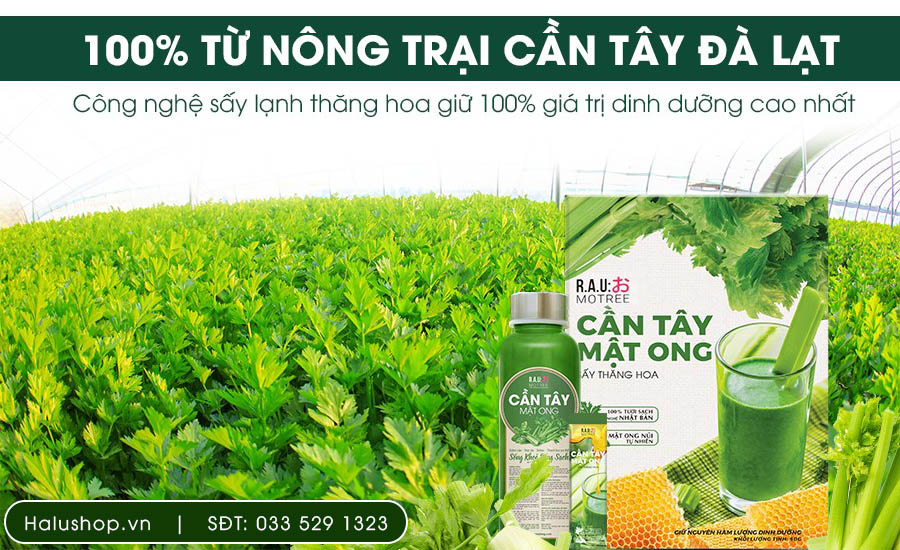 cần tây tươi sấy thăng hoa thành cần tây mật ong motree