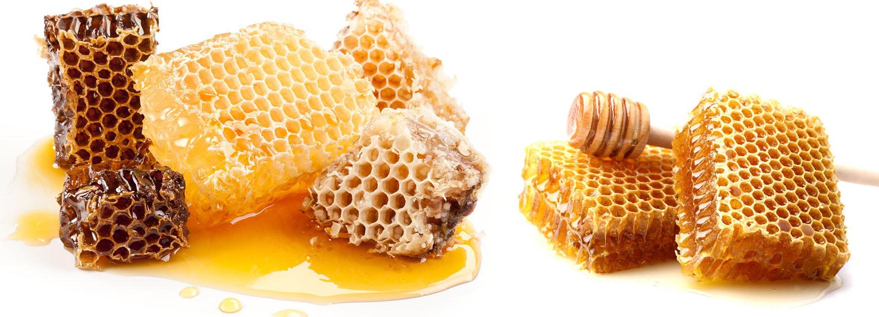 cần tây mật ong motree được làm từ mật ong rừng
