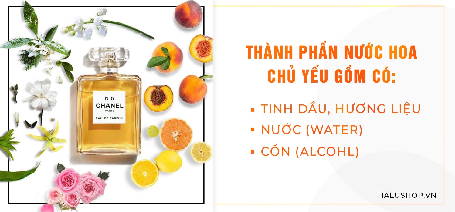thành phần nước hoa là gì
