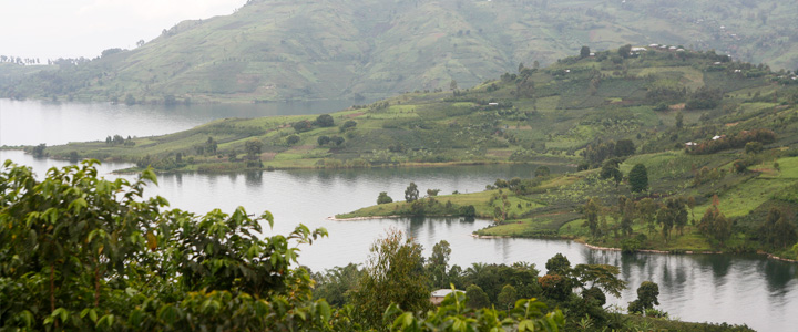 môi trường Fairtrade