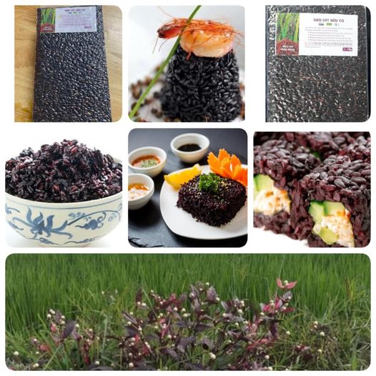 Gạo lứt tím thảo dược hữu cơ 1kg