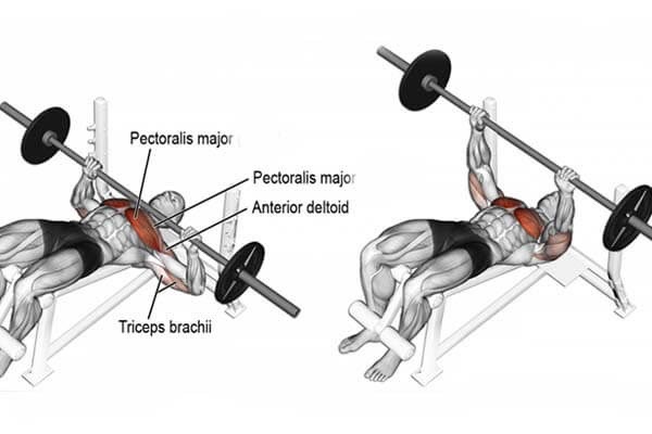 Bài tập đẩy thanh tạ đòn ở trên ghế dốc ngược