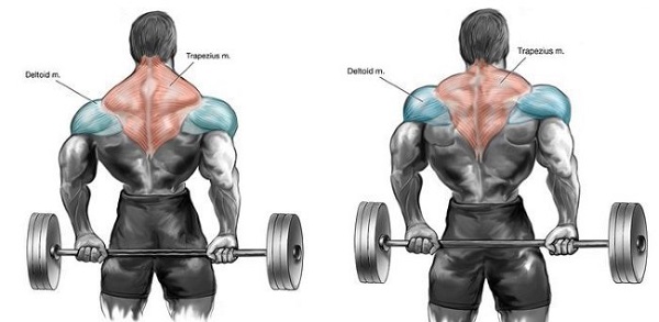 Bài tập Barbell Shrugs Behind The Back