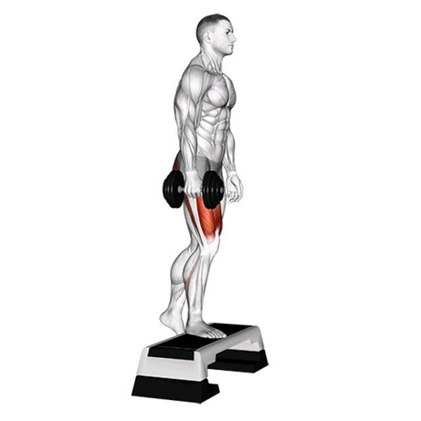 Bài tập Dumbbell Step Up