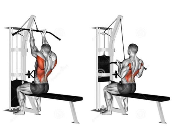 Bài tập kéo xô trước cùng hai tay hẹp với giàn tạ đa năng - Close-Grip Front Lat Pulldown
