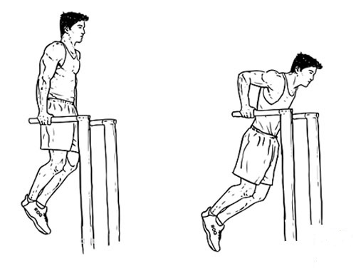 Bài tập xà kép cho ngực dưới