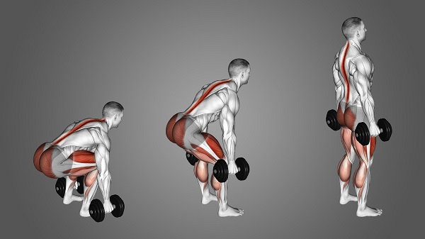 Bài tập Dumbbell Deadlifts
