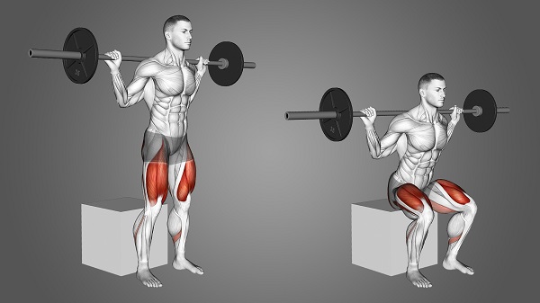 Bài tập với tạ đòn Box Squat