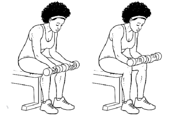 Bài tập với tạ tay Palms-up Dumbbell Wrist Curl