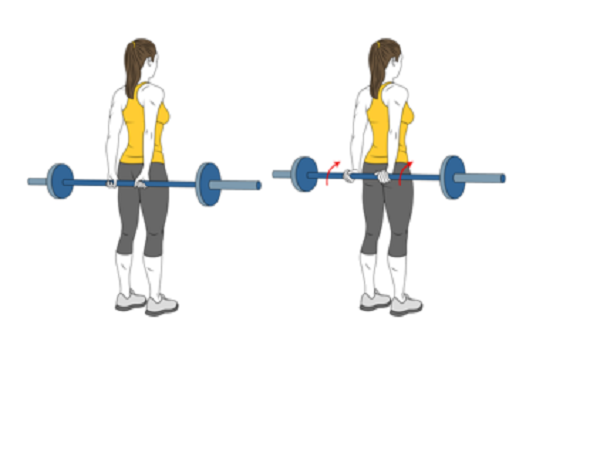 Bài tập đứng cuộn cổ tay sau lưng cùng tạ đòn