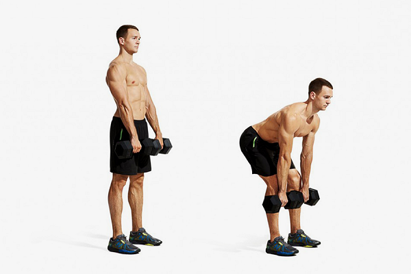 Bài tập Dumbbell Deadlift