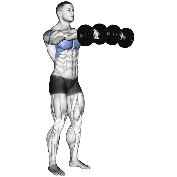 Bài tập Dumbbell Front Raises