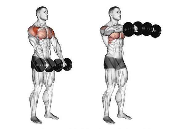 Bài tập vai trước Front Two Dumbbell Raise