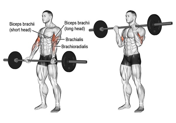 Bài tập Barbell Drag Curl