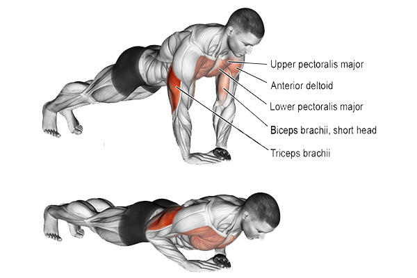 Tìm hiểu Diamond push ups là gì