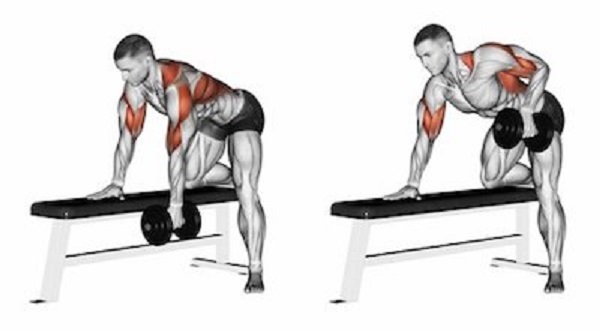 Bài tập One-Arm Dumbbell Row