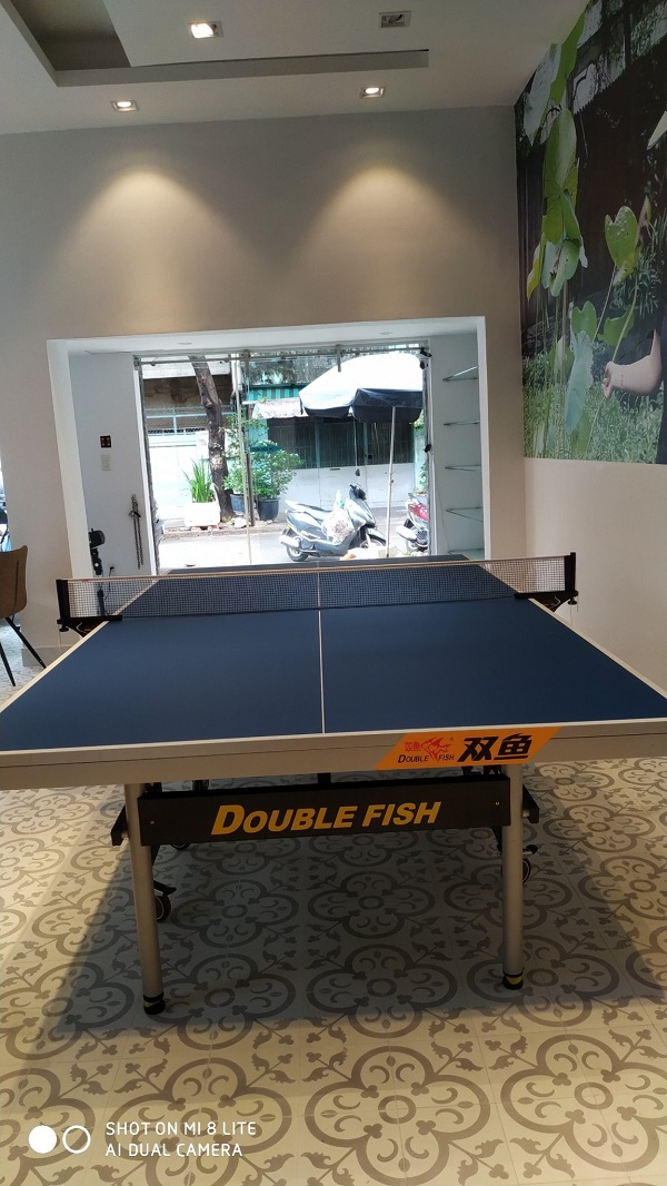 Bàn bóng bàn Double Fish 233 giá rẻ tại ZOKO SPORT