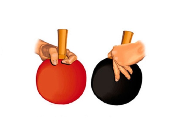 Hình ảnh cách cầm vợt bóng bàn dọc