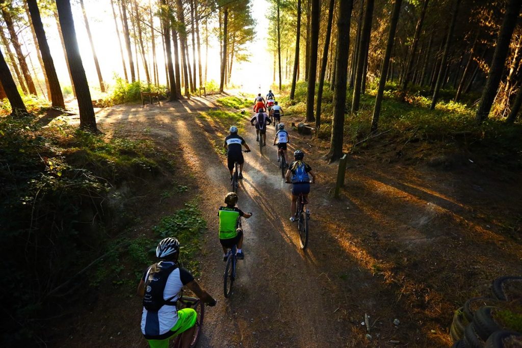 Tìm những người bạn đồng hành