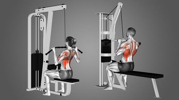 Bài tập Wide-Grip Lat Pulldown