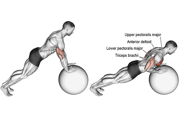 Biến thể của bài tập Incline push up