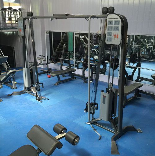 Thiết bị phòng tập