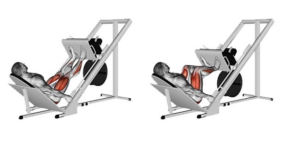 Bài tập chân leg Press