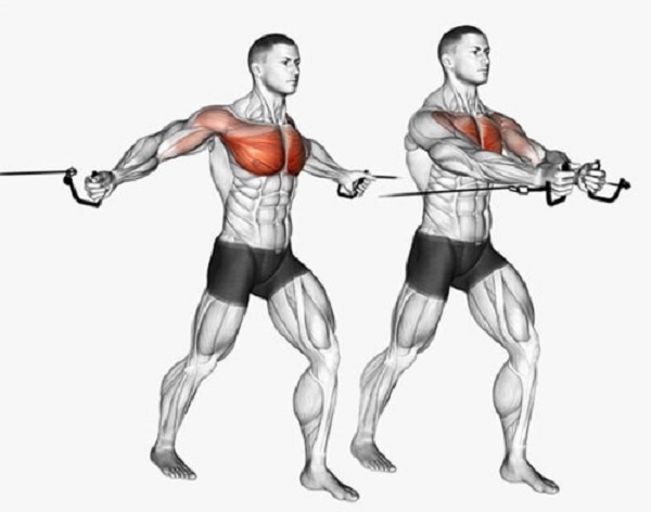 Lịch tập gym tăng cơ vào thứ 2