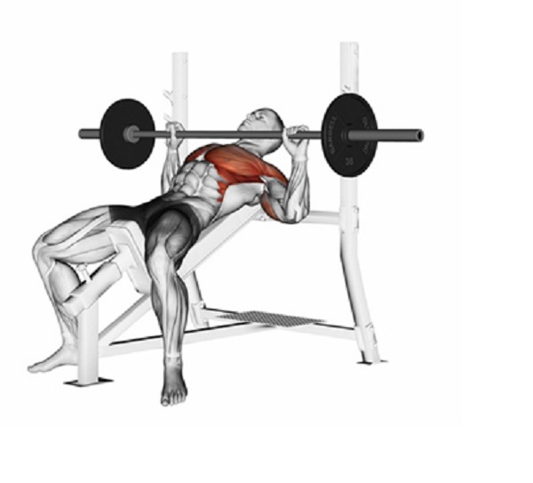 Lịch tập gym tăng cơ vào thứ 6