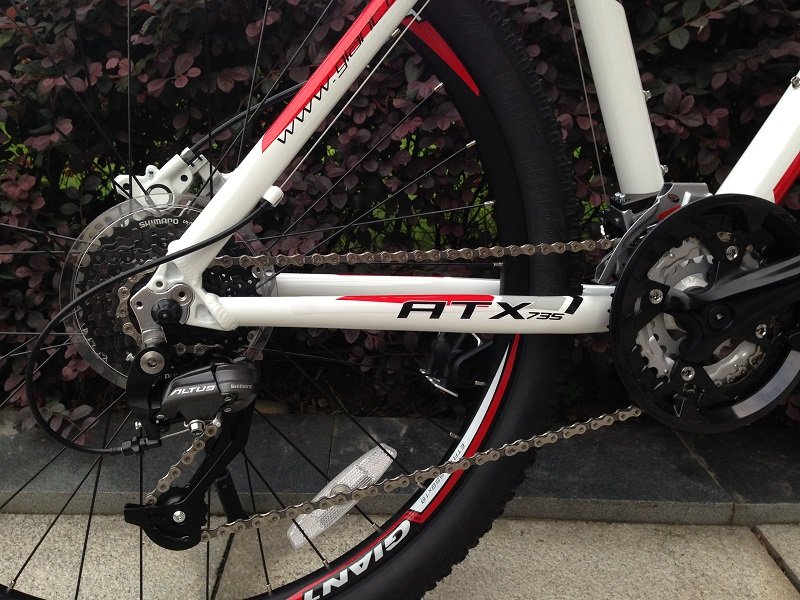 Đĩa và líp xe đạp