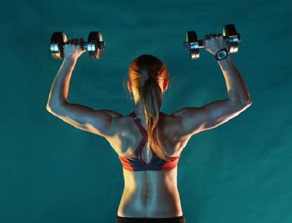 Khung xương được tăng cường sức mạnh