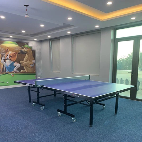 Mẫu bàn bóng bàn Double Fish 201C tại Zoko Sport