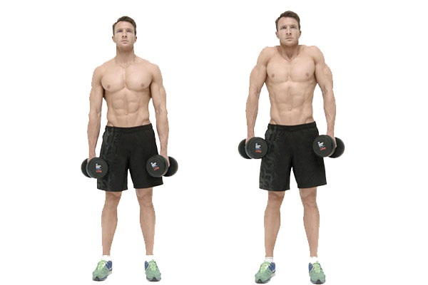 Bài tập tạ dành cho cơ cổ nhún vai