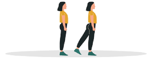 Bài tập Standing Calf SketchUp