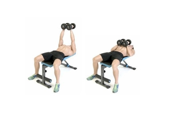 Bài tập cơ ngực nằm ở trên ghế với tạ tay