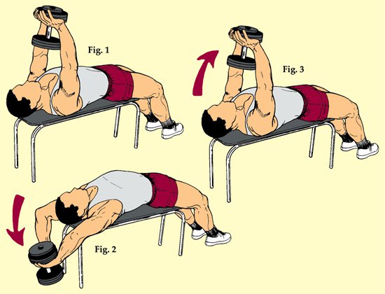 Bài tập Straight-Arm Dumbbell Pullover