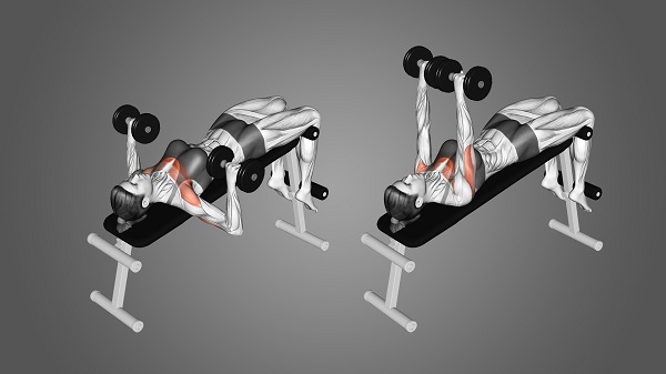 Bài tập Regular dumbbell chest press (đẩy ngực ngang với tạ đơn)