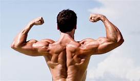 Hình ảnh tập cơ bắp tay to khỏe, săn chắc