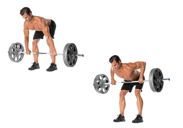 Bài tập Bent-Over Barbell Row