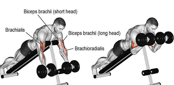 Bài tập dành cho cơ bắp tay Spider Curl