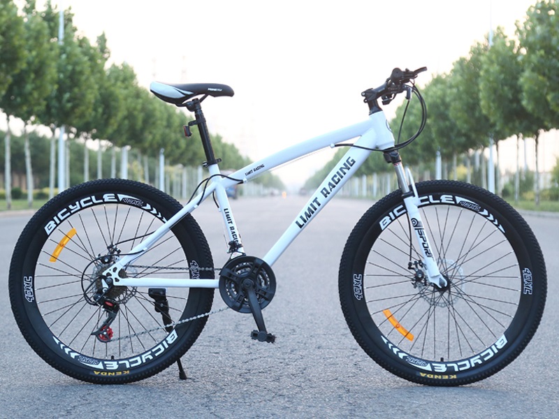 Xe đạp thể thao Limit racing hàng chất lượng