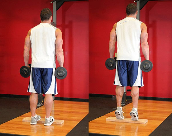 Bài tập nhón gót chân với tạ đơn - Standing Dumbbell Calf Raise
