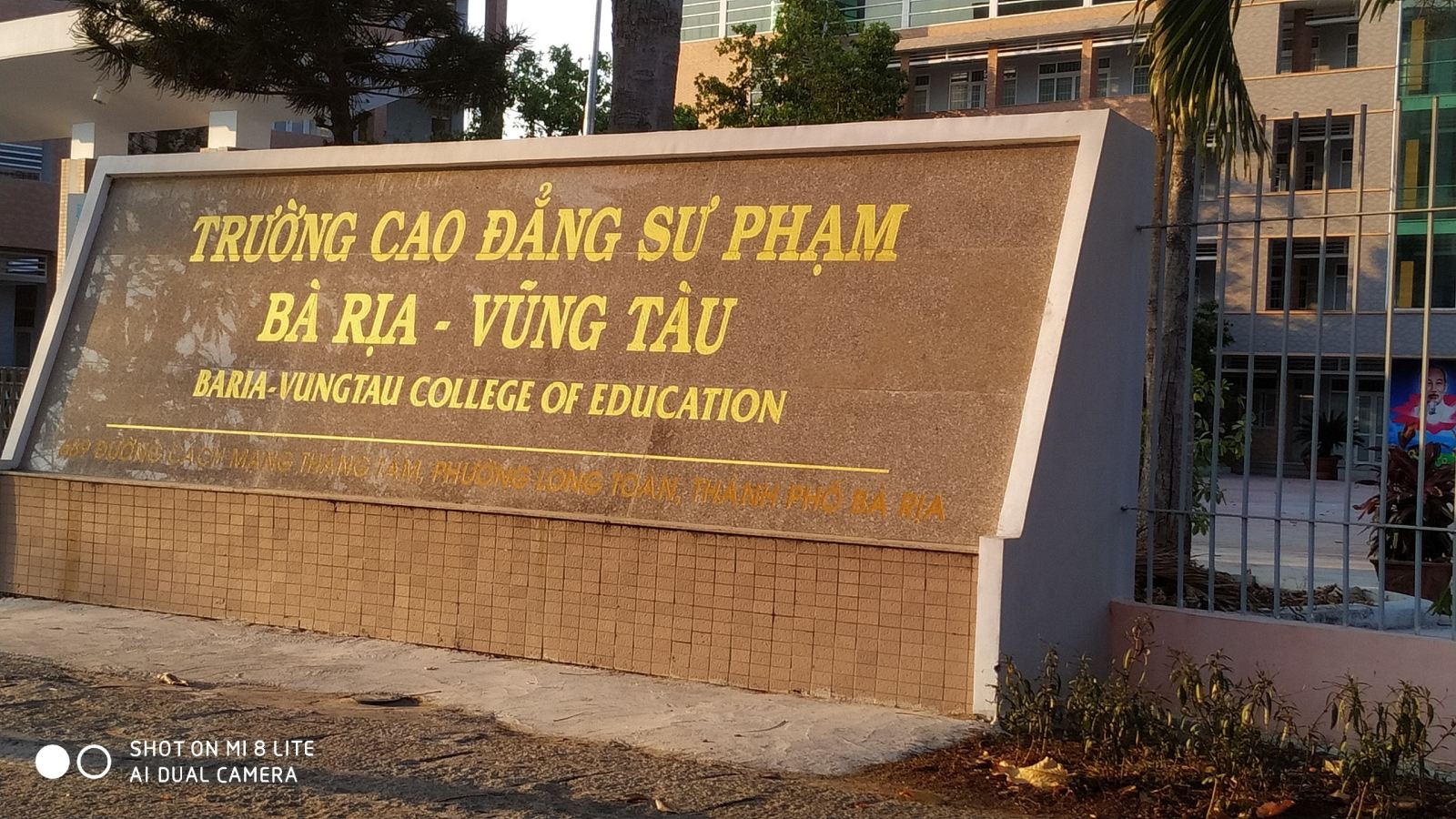 sân bóng cỏ nhân tạo