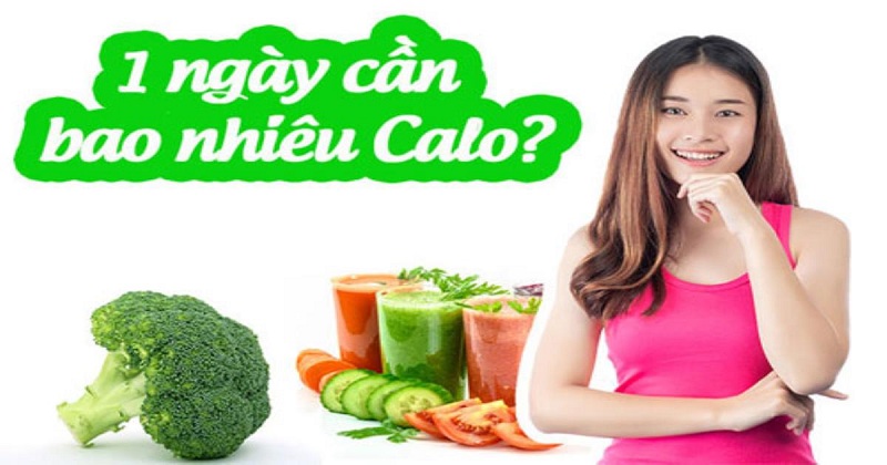 Tư vấn 1 ngày cần bao nhiều calo để bạn duy trì vóc dáng khỏe mạnh