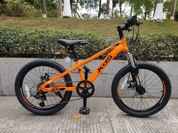 Giá của xe đạp XDS là bao nhiêu?