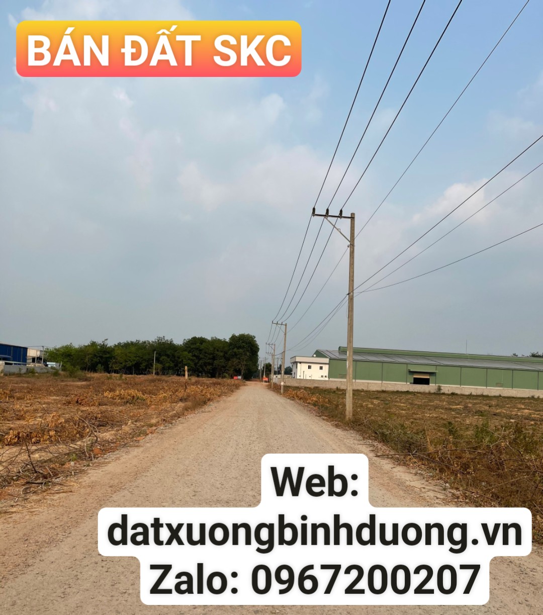 Bán 6.500 m2 đất quy hoạch SKC tại P. Vĩnh Tân, Tx. Tân Uyên, tỉnh Bình Dương
