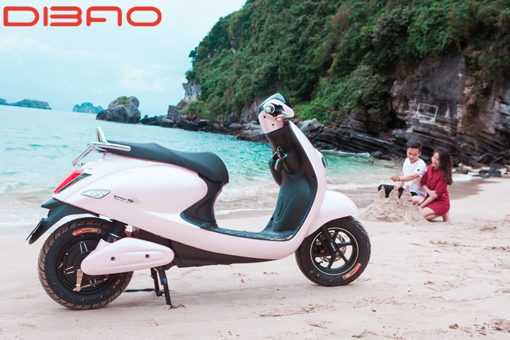 xedapdien.com.vn - Địa chỉ mua xe Dibao uy tín, chính hãng