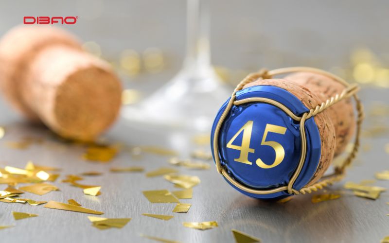 biển số xe 45 có ý nghĩa gì